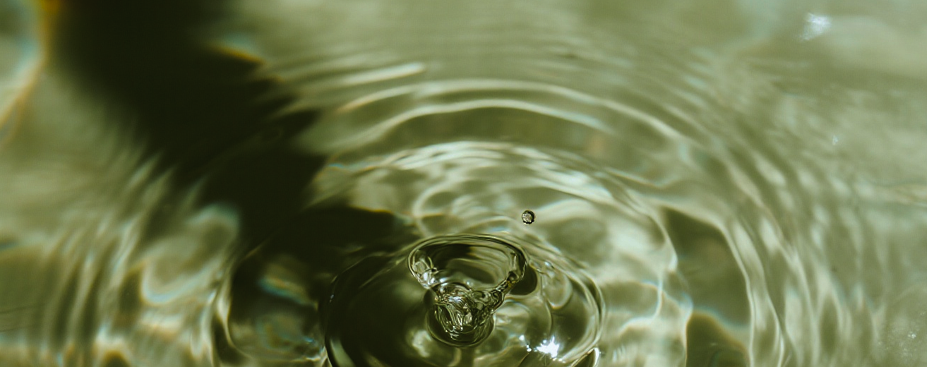Close-up of water droplet creating ripples on a green water surface